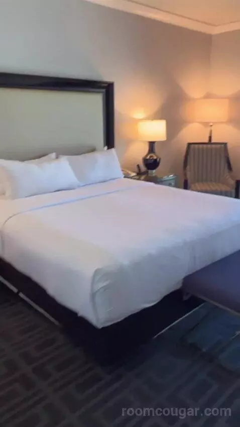 Augustus Premium Room, King bed picture #12