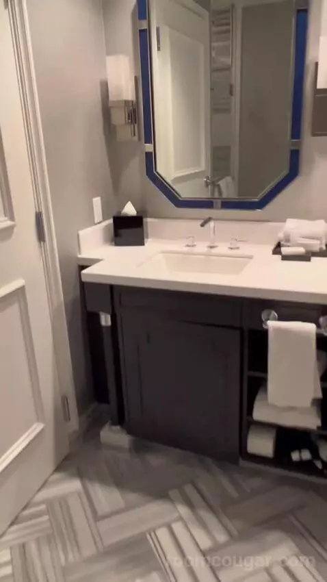 Augustus Premium Room, King bathroom picture #4