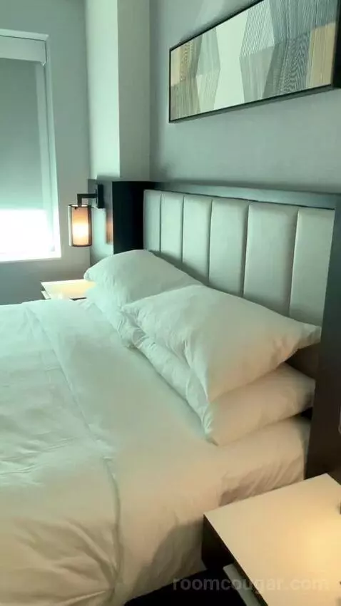 King Room (#808) picture #16