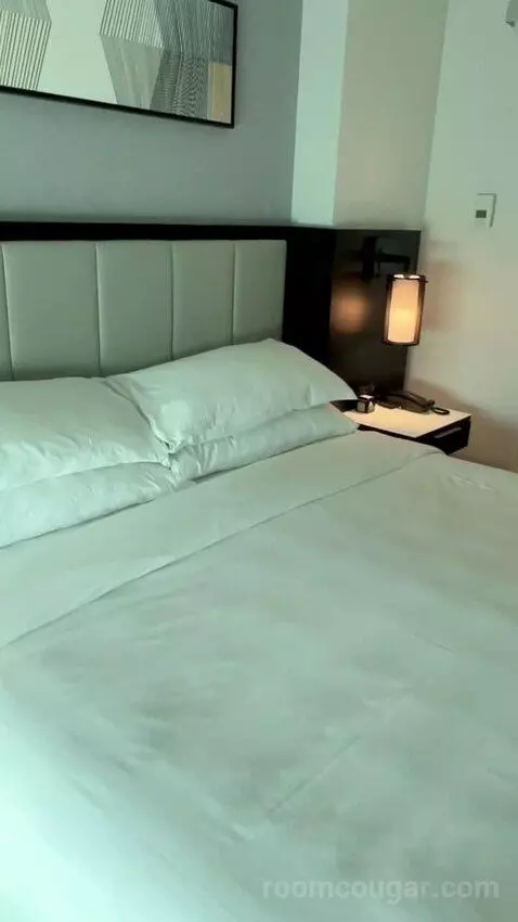 King Room (#808) picture #20