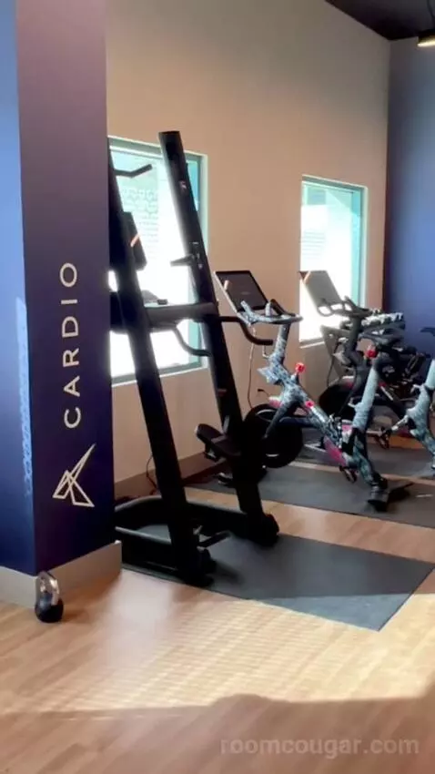 King Room (#808) picture #24