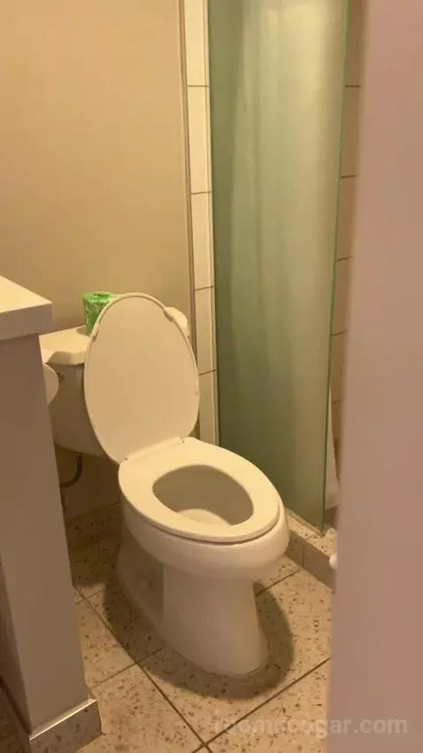 Luxe Room, 2 Queen Beds (#1707) bathroom picture #1