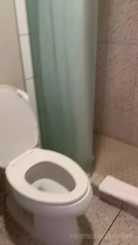 Luxe Room, 2 Queen Beds (#1707) bathroom picture #3