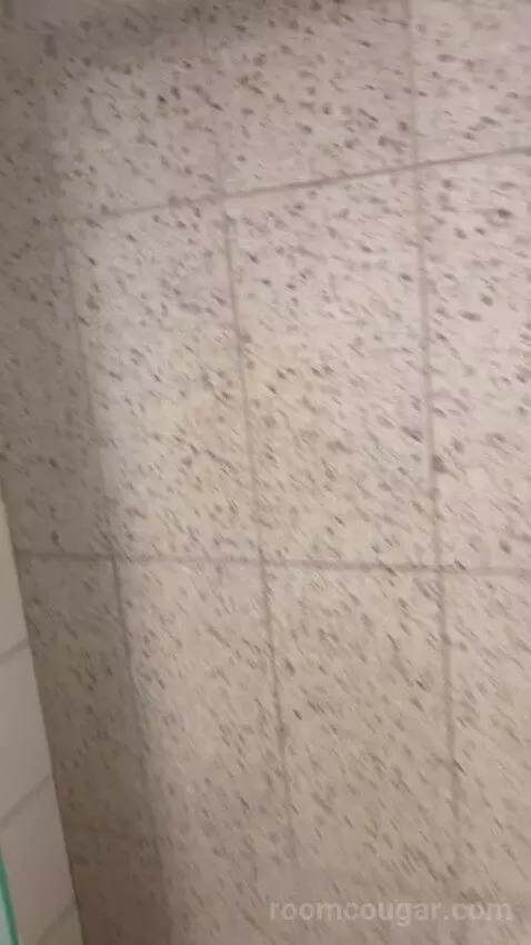 Luxe Room, 2 Queen Beds (#1707) bathroom picture #6