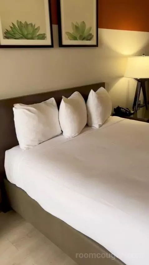 Luxe Room, 2 Queen Beds (#1707) picture #22