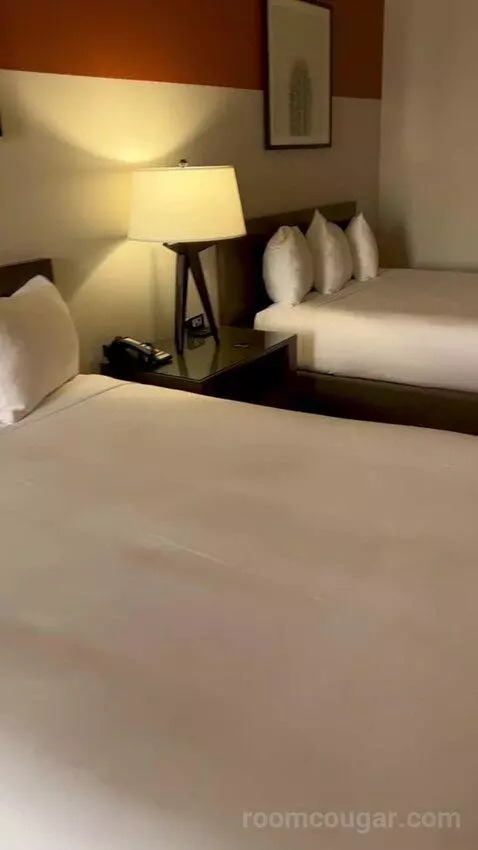 Luxe Room, 2 Queen Beds (#1707) picture #23