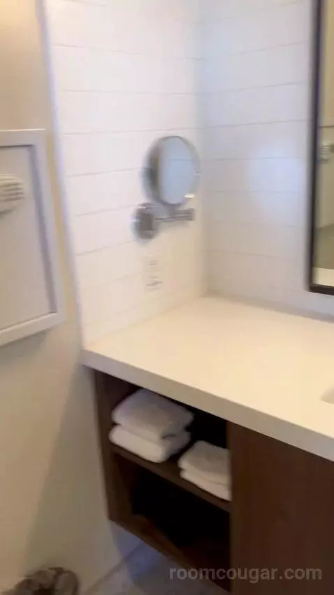 Luxe Room (#1806) picture #16