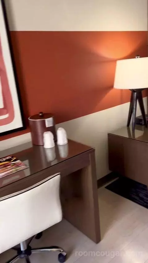 Luxe Room (#1806) picture #22