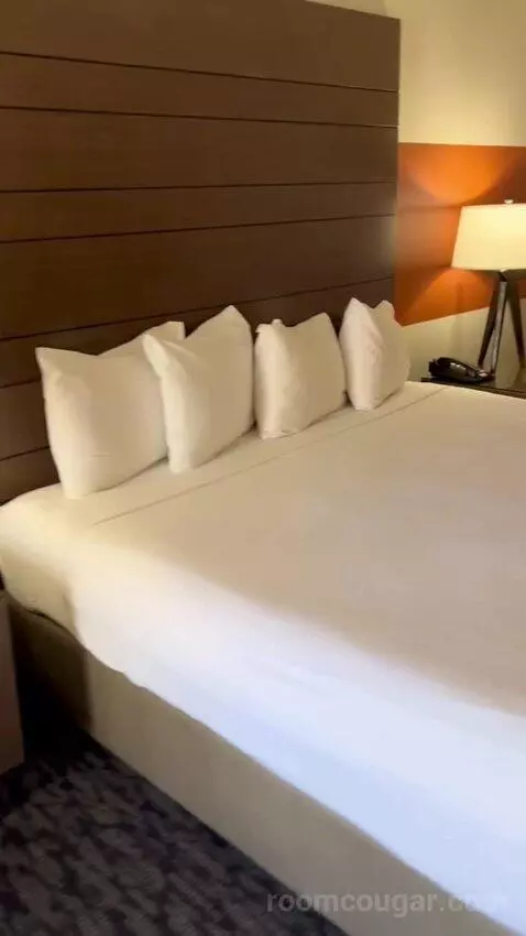 Luxe Room (#1806) picture #23