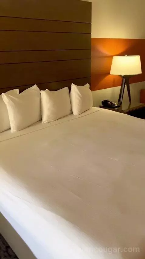 Luxe Room (#1806) bed picture #10