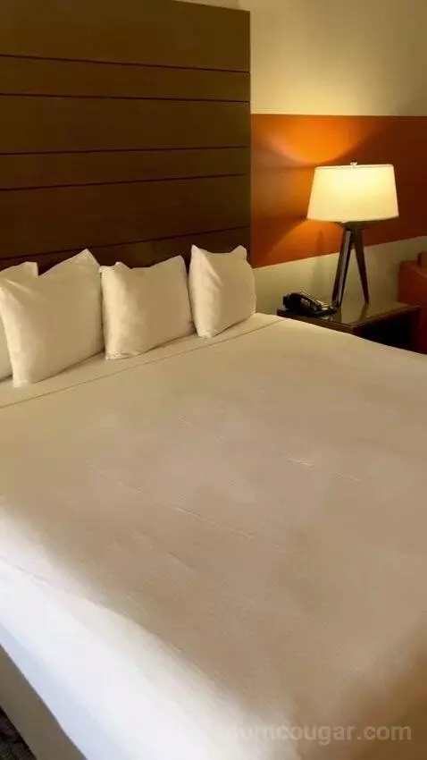 Luxe Room (#1806) bed picture #12