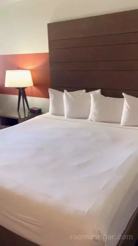 Luxe Room (#1806) bed picture #1