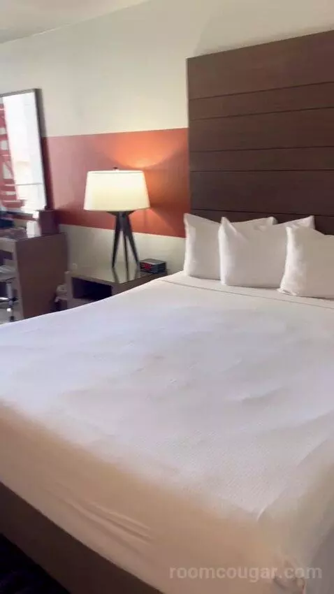 Luxe Room (#1806) bed picture #4