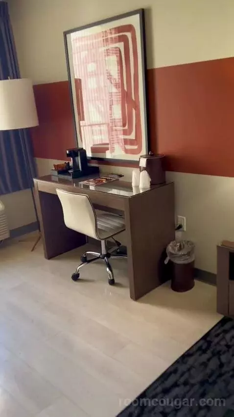 Luxe Room (#1806) picture #6