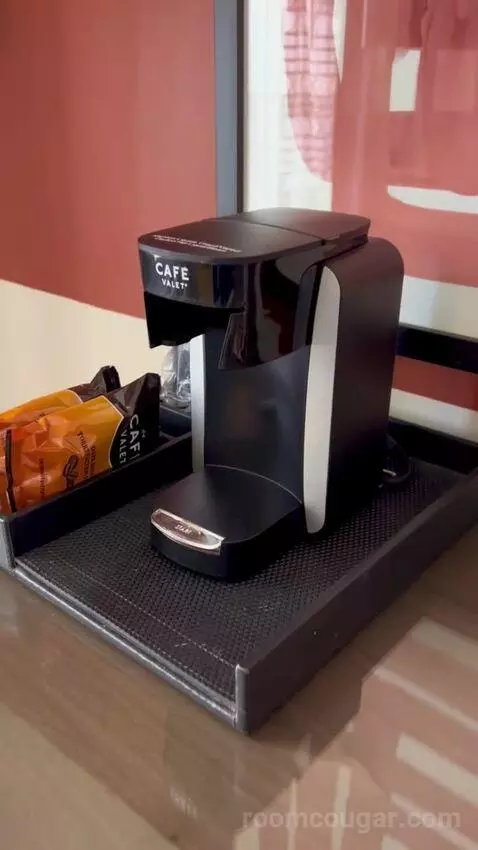 Luxe Room (#1806) picture #8