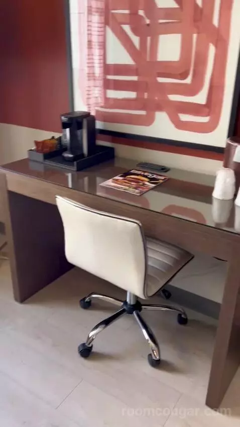 Luxe Room (#1806) picture #10