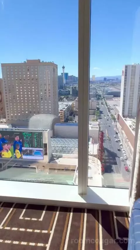 Corner Studio (#2301) view picture #5