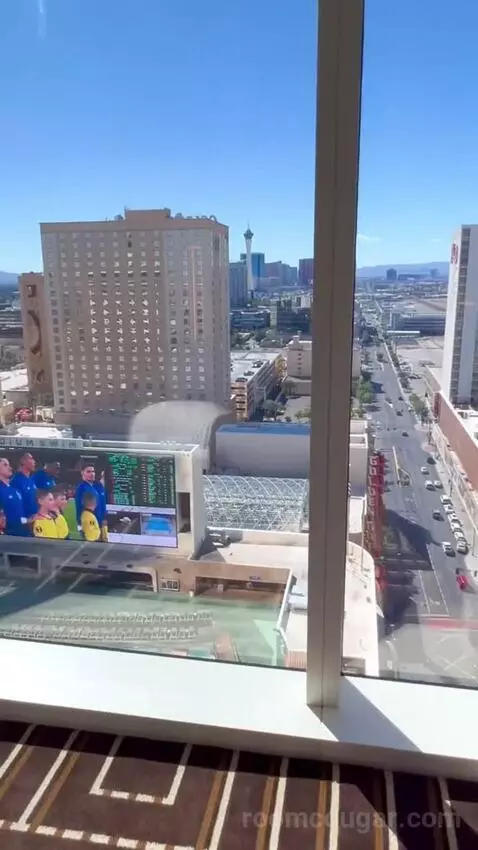 Corner Studio (#2301) view picture #6