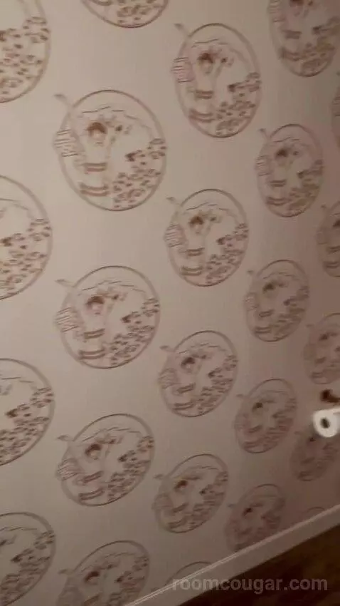 Corner Studio (#2301) picture #24