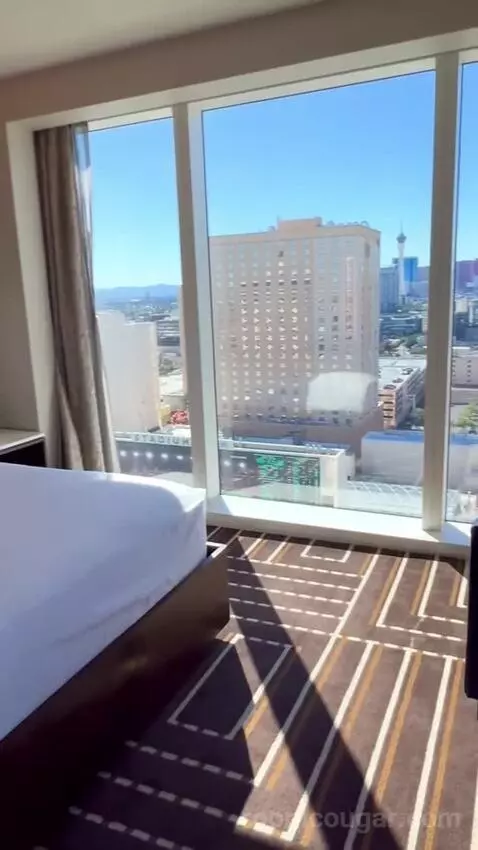 Corner Studio (#2301) picture #10