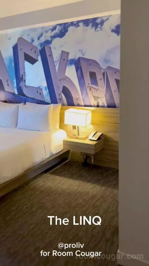 One Bedroom Suite (#13002) picture #2