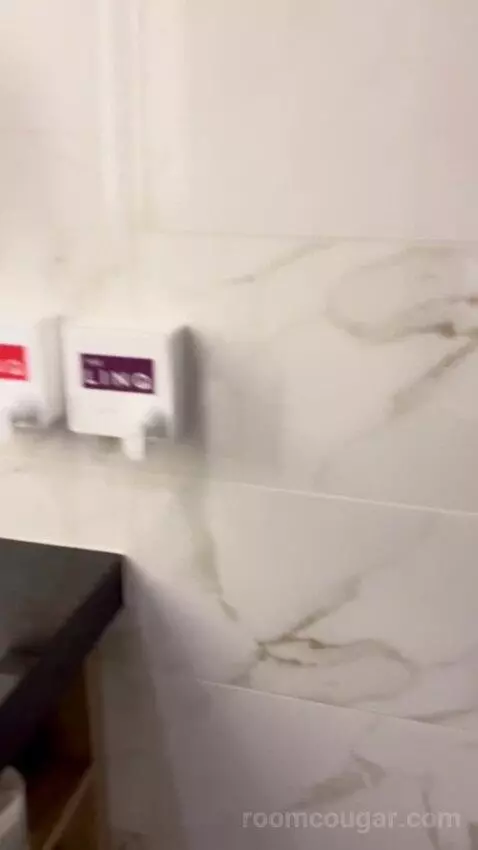 One Bedroom Suite (#13002) picture #14