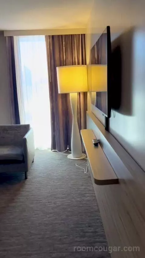 One Bedroom Suite (#13002) picture #17