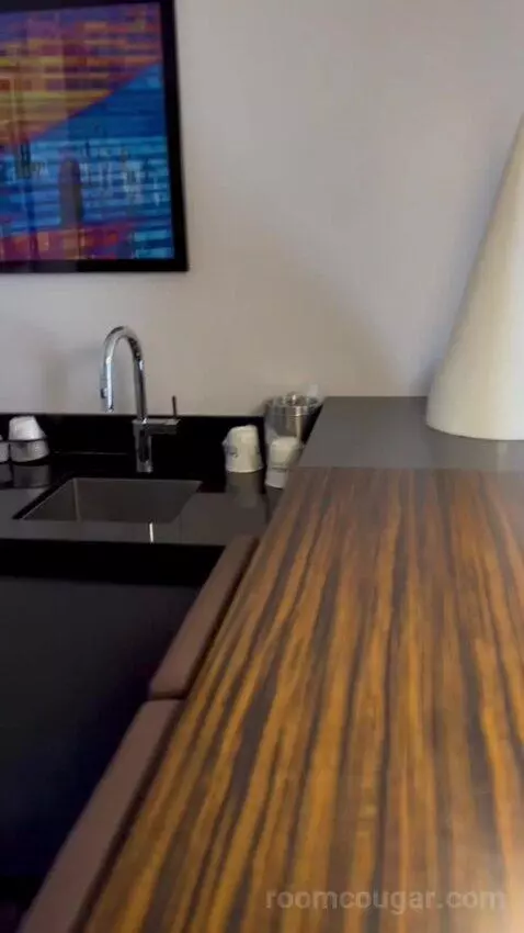 One Bedroom Suite (#13002) picture #20