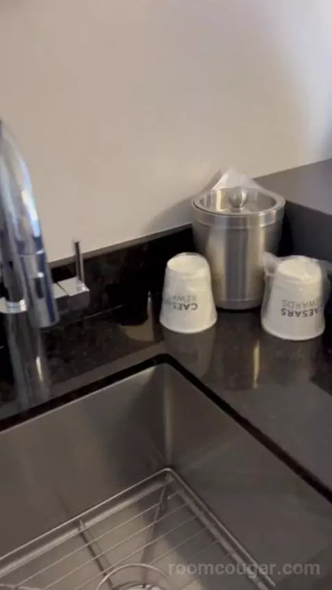 One Bedroom Suite (#13002) bathroom picture #5