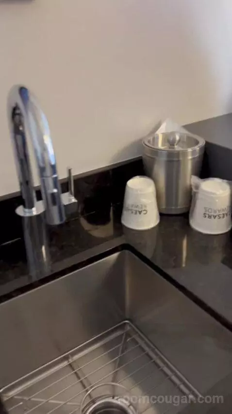 One Bedroom Suite (#13002) bathroom picture #6