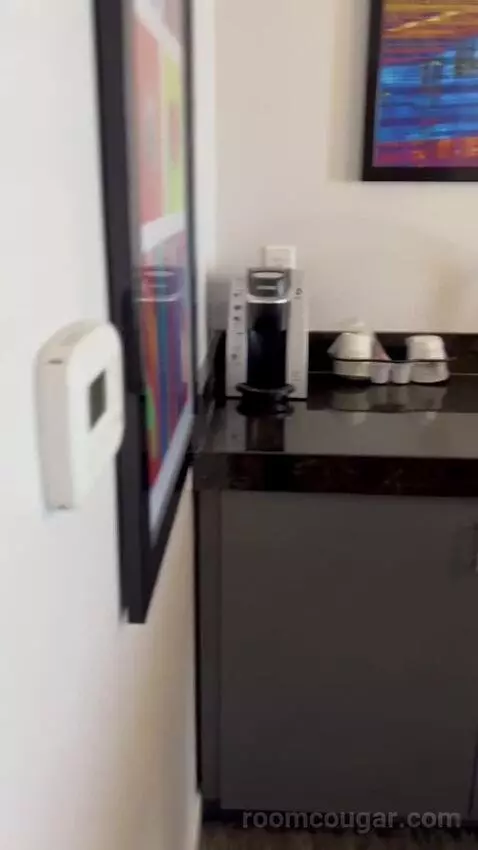 One Bedroom Suite (#13002) picture #22