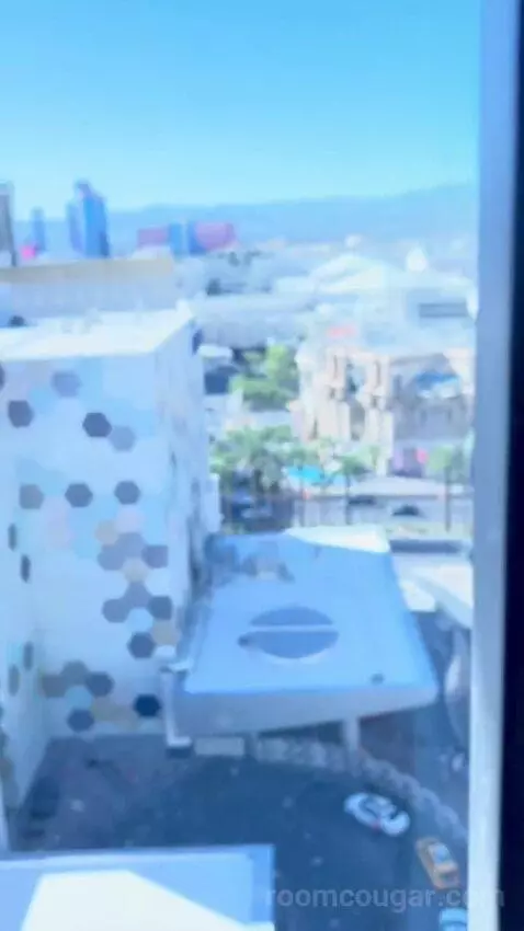 One Bedroom Suite (#13002) picture #7