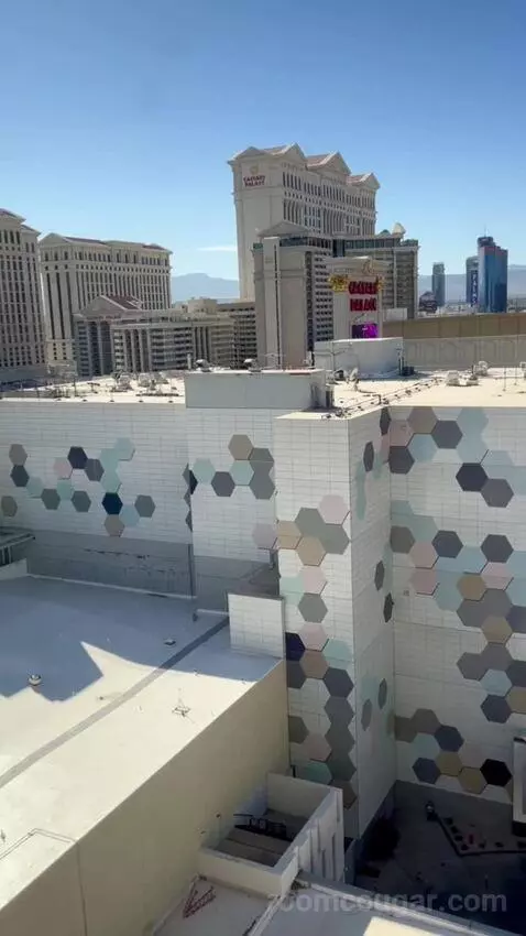 One Bedroom Suite (#13002) picture #8