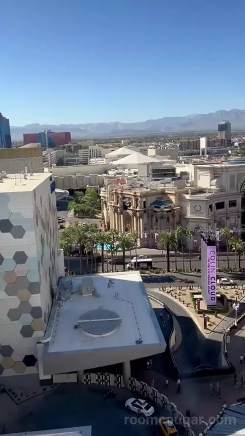 One Bedroom Suite (#13002) picture #9