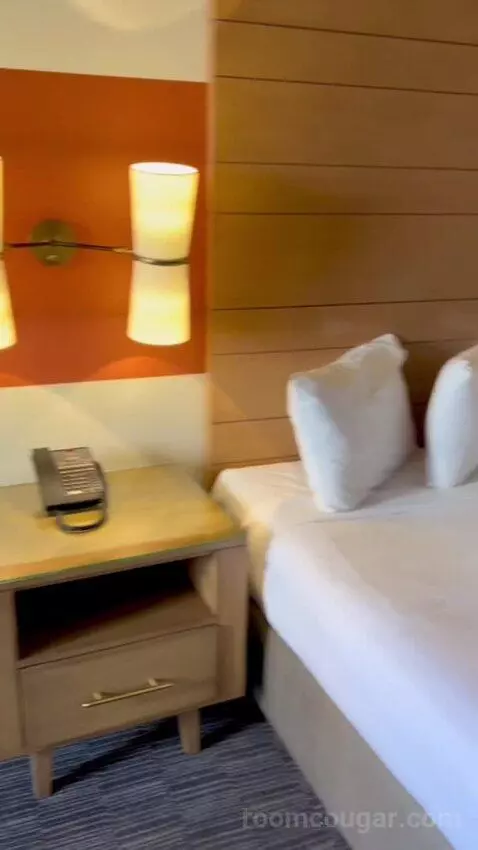 Terrace Suite (#4002) picture #14