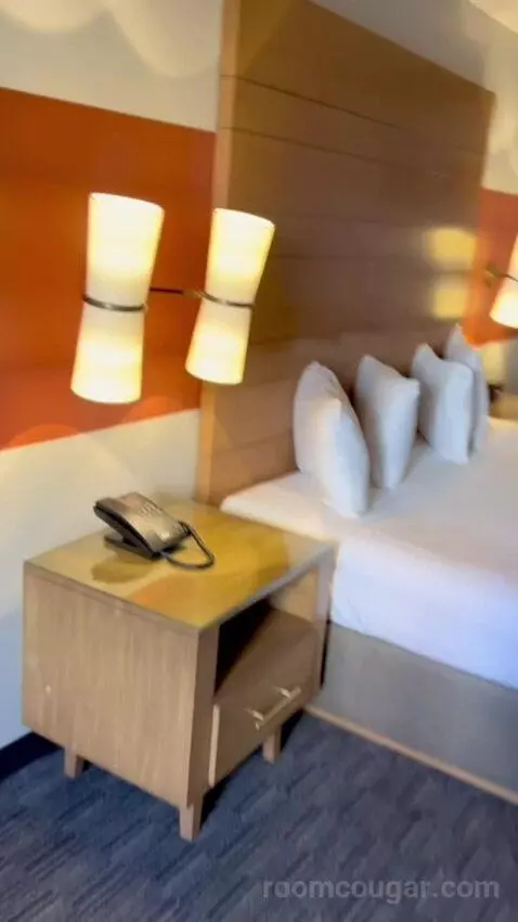 Terrace Suite (#4002) picture #15