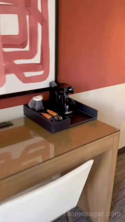 Terrace Suite (#4002) picture #17