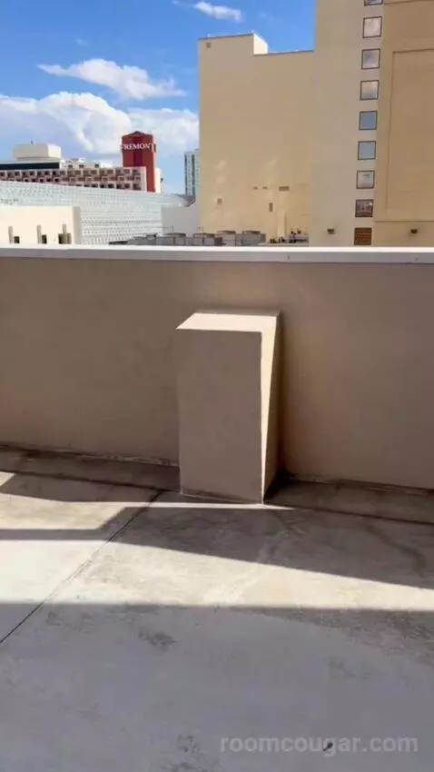 Terrace Suite (#4002) picture #21