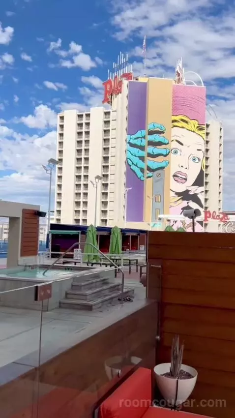 Terrace Suite (#4002) view picture #7