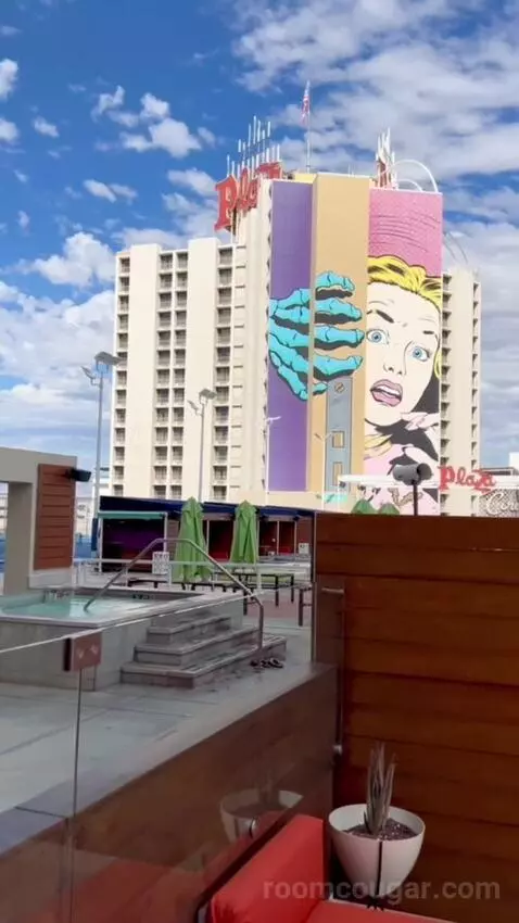 Terrace Suite (#4002) view picture #9