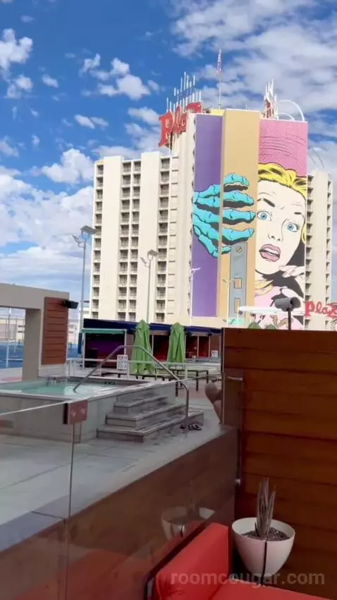 Terrace Suite (#4002) picture #24