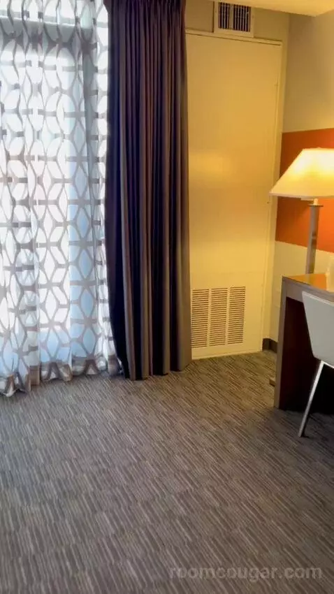 Terrace Suite (#4002) picture #5