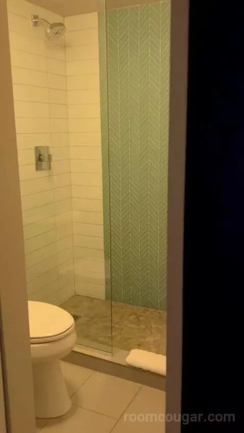 Terrace Suite (#4002) bathroom picture #1