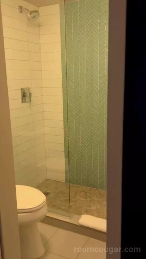 Terrace Suite (#4002) bathroom picture #2