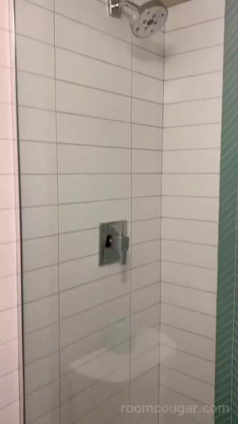 Terrace Suite (#4002) bathroom picture #5