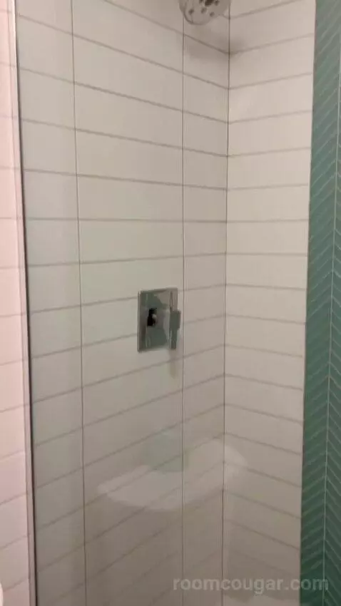 Terrace Suite (#4002) bathroom picture #6