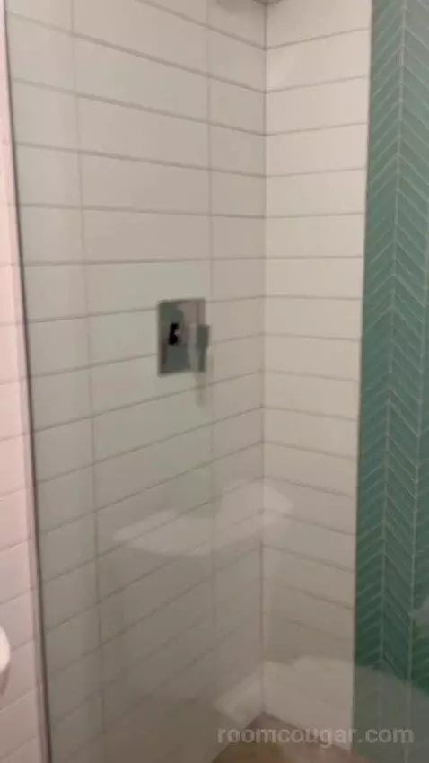 Terrace Suite (#4002) bathroom picture #8