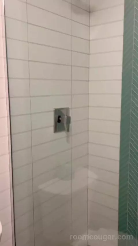 Terrace Suite (#4002) picture #8