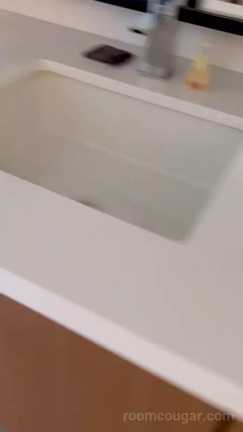 Terrace Suite (#4002) bathroom picture #10