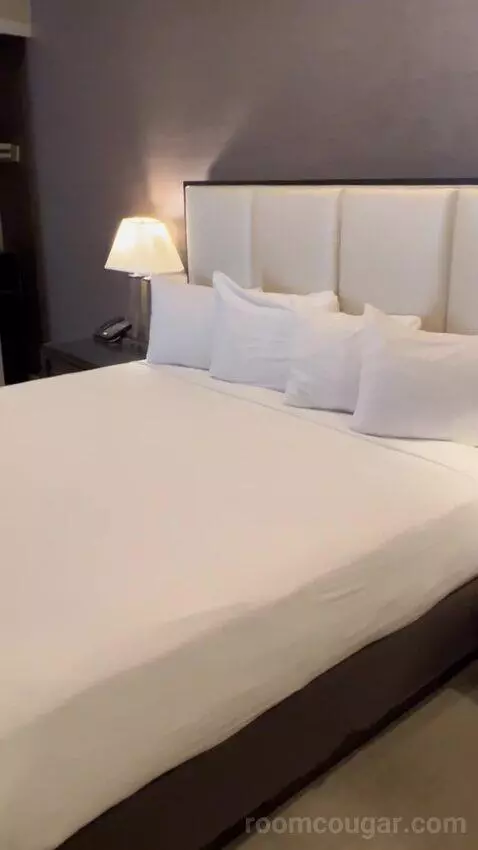 Plaza Hotel & Casino Penthouse review by proliv